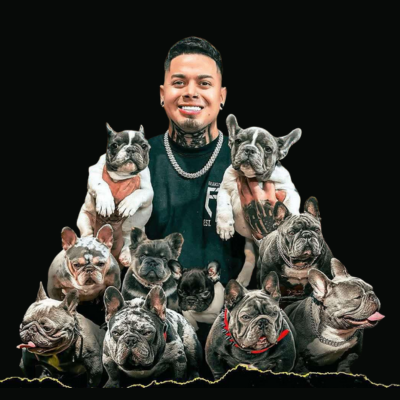 Man holding multiple high-quality French Bulldogs from Fire French Bullies stud services in Tucson, Arizona